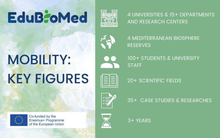 Case studies, mobility and field work: some figures of the project